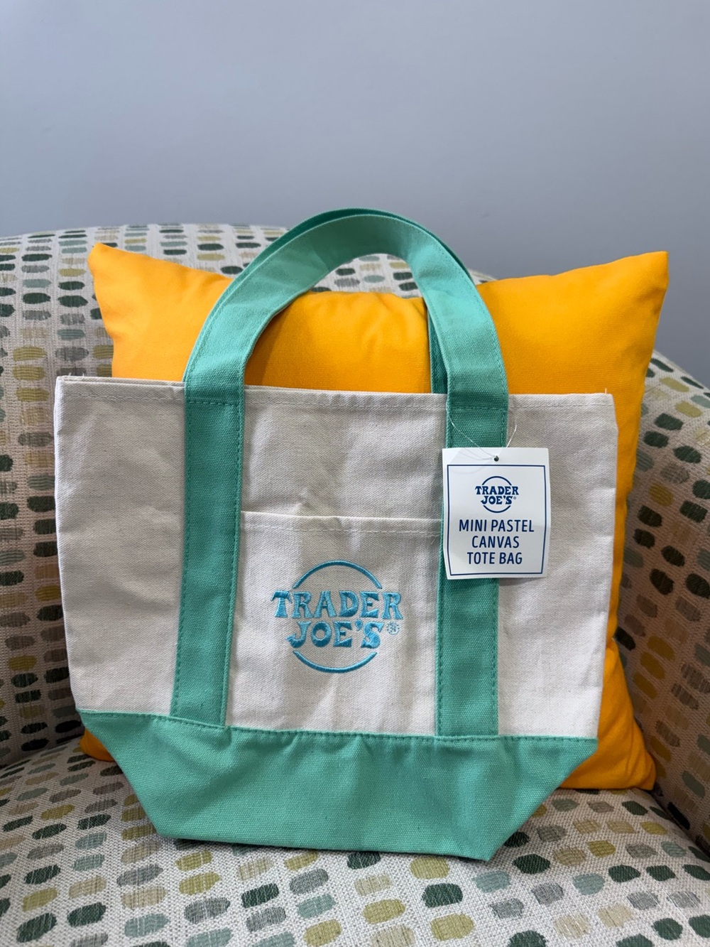 Trader Joe's Mini Pastel Canvas Tote Bag - Mint/White